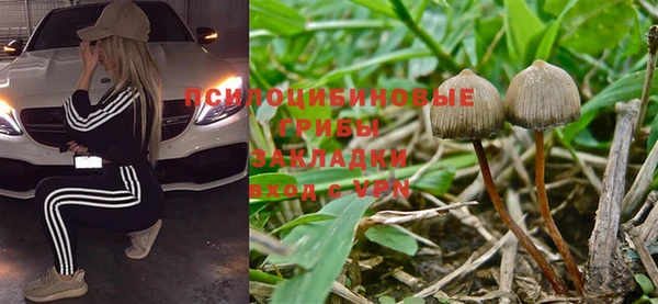 прущий лед Няндома