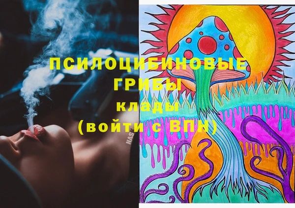 прущий лед Няндома
