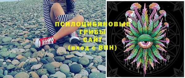 прущий лед Няндома