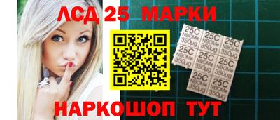 спиды Гатчина