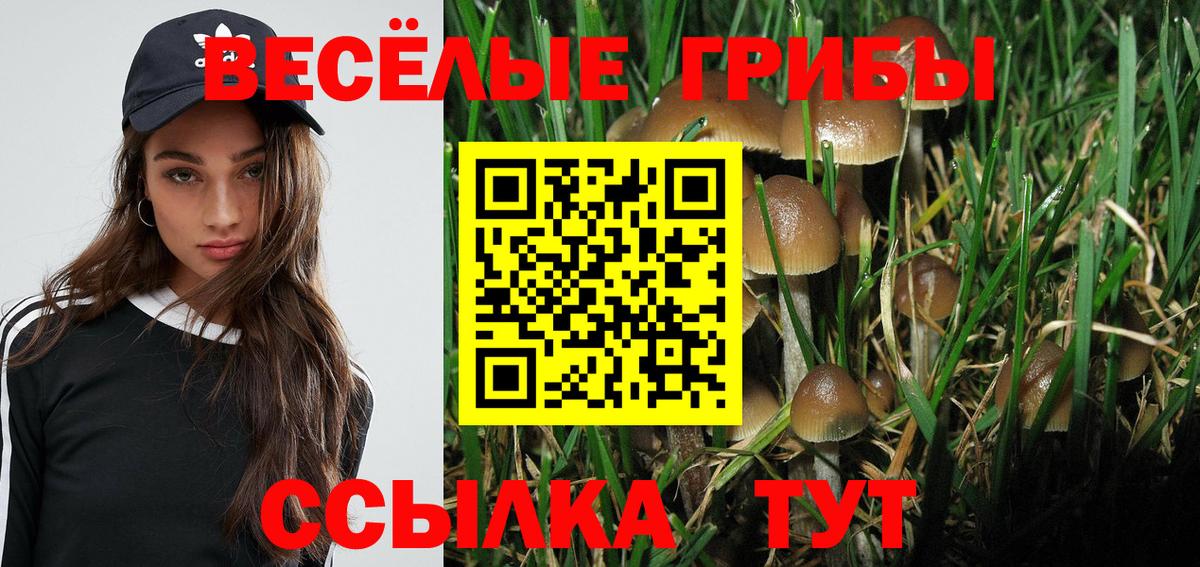 Печора  Псилоцибиновые грибы Psilocybe  Вход с VPN 