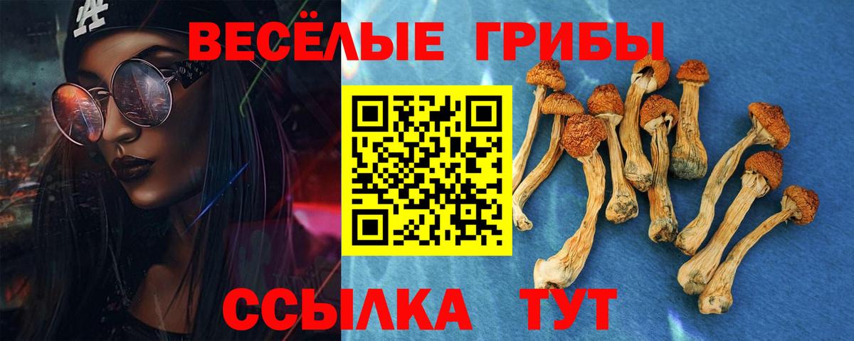 Галлюциногенные грибы мицелий Печора