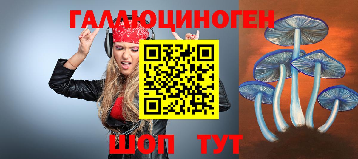 Псилоцибиновые грибы Psilocybe  Псилоцибиновые грибы MAGIC MUSHROOMS  Печора 