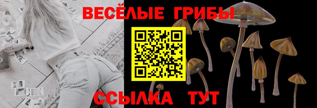 Печора  Галлюциногенные грибы GOLDEN TEACHER  Вход с VPN 